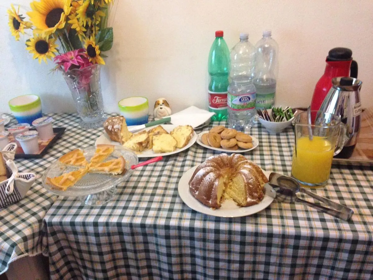 Bed & Breakfast Alexander Bed And Breakfast Ciampino Italy