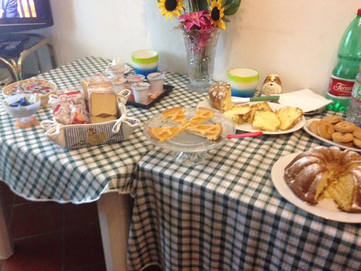 Alexander Bed And Breakfast Ciampino Bed & Breakfast